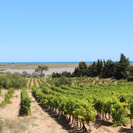 Tatil Evi Maison Bleu By Interhome Saint-Pierre-la-Mer (Aude)